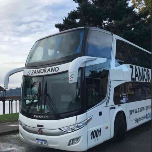 Imagen de un camion de zamora de noche